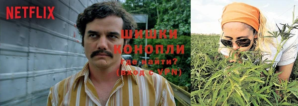 спиды Бугульма