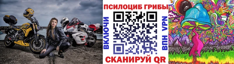 Псилоцибиновые грибы мухоморы  Нолинск 