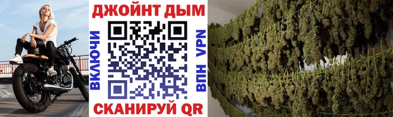 закладка  Нолинск  Каннабис индика 